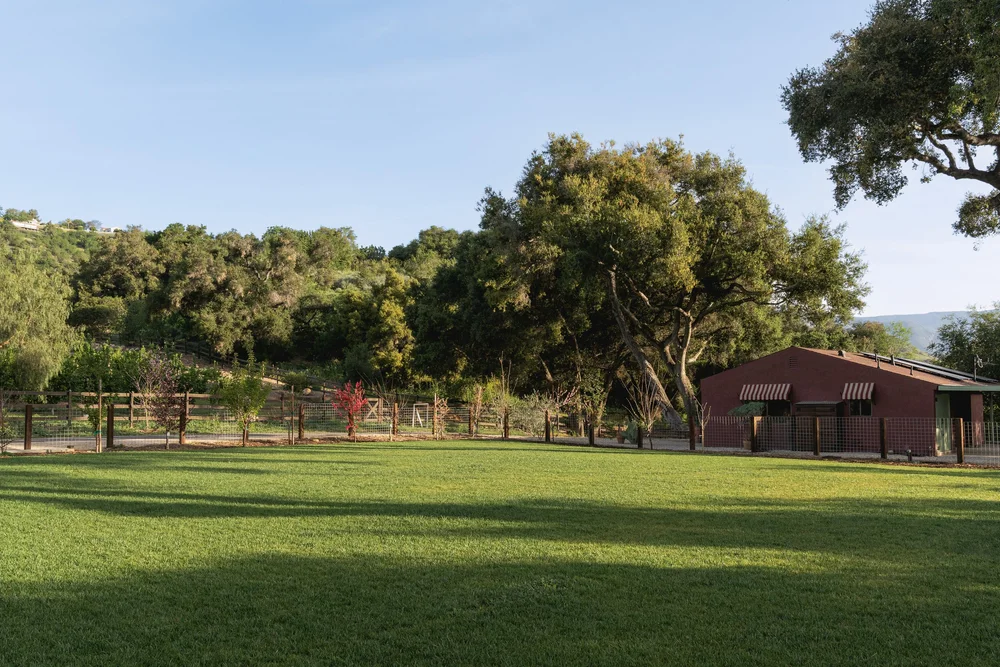 10802 Oak Knoll Road — photo 53