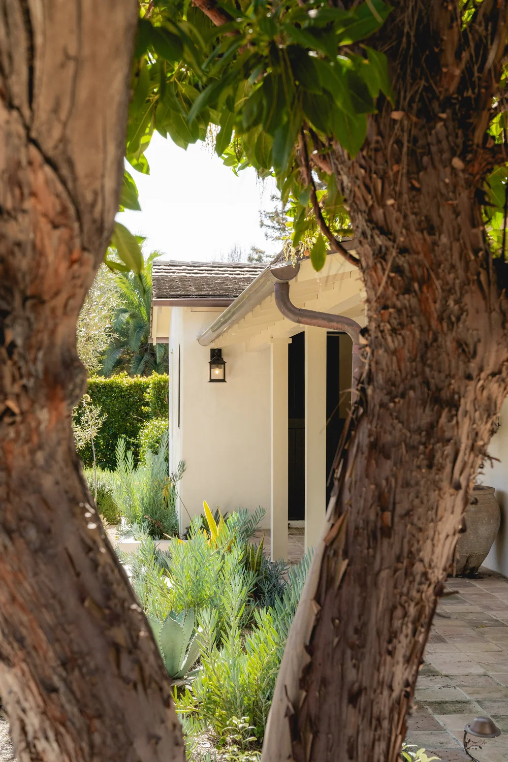 433 Paseo del Descanso — photo 7