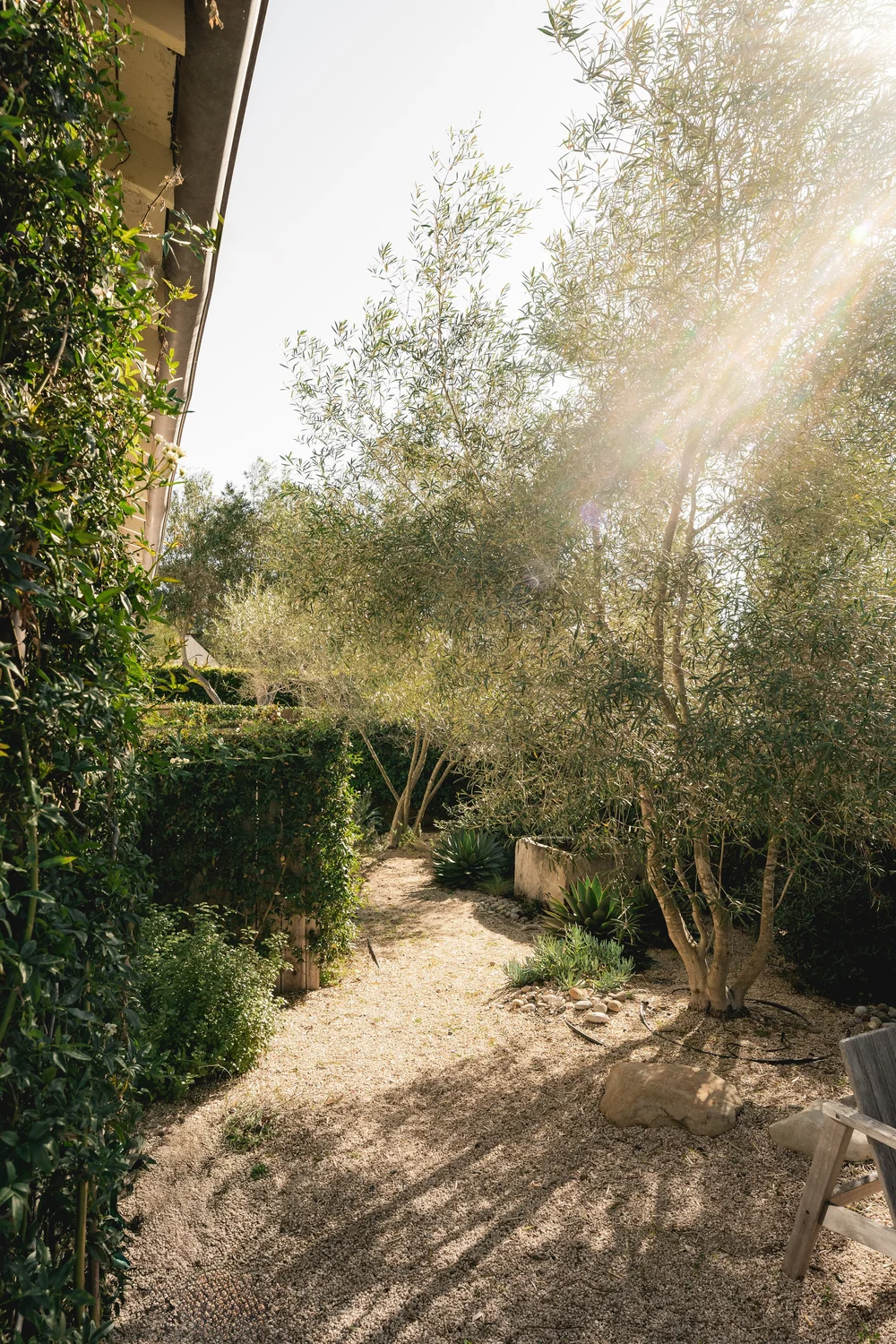 433 Paseo del Descanso — photo 46