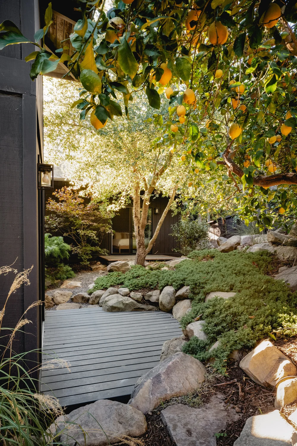 Ladera Lane — photo 47