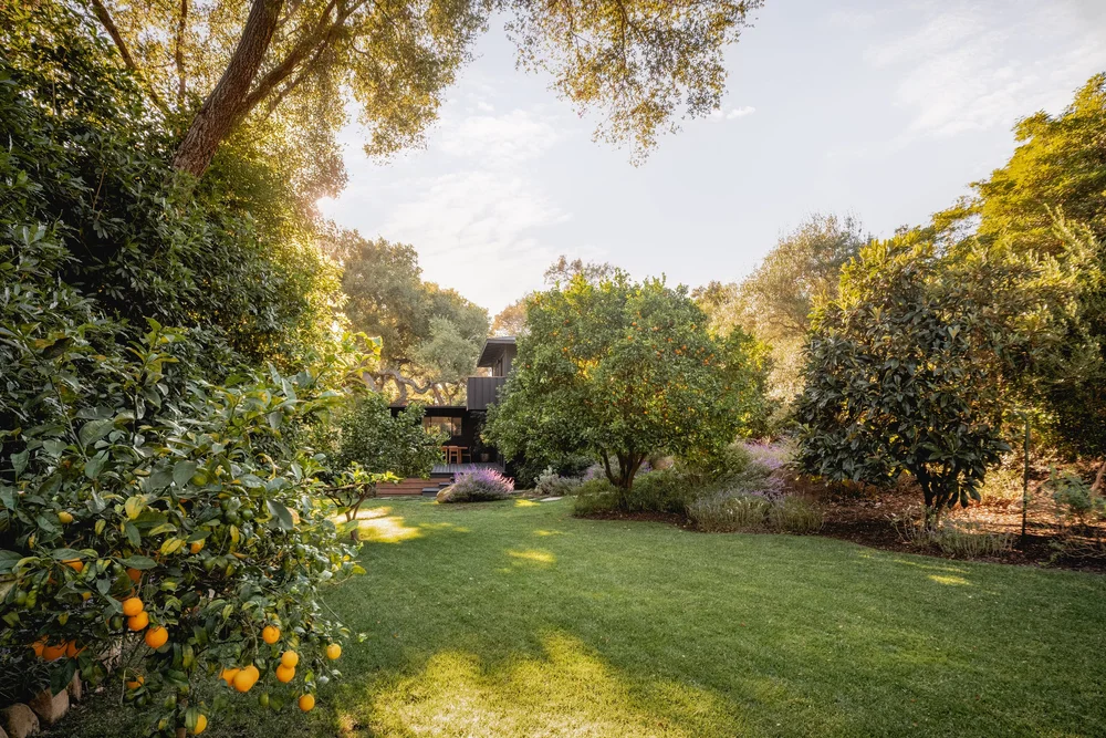 Ladera Lane — photo 48