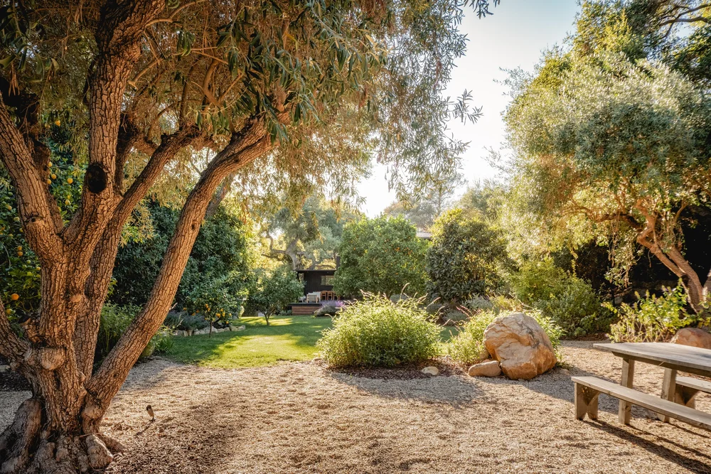 Ladera Lane — photo 49